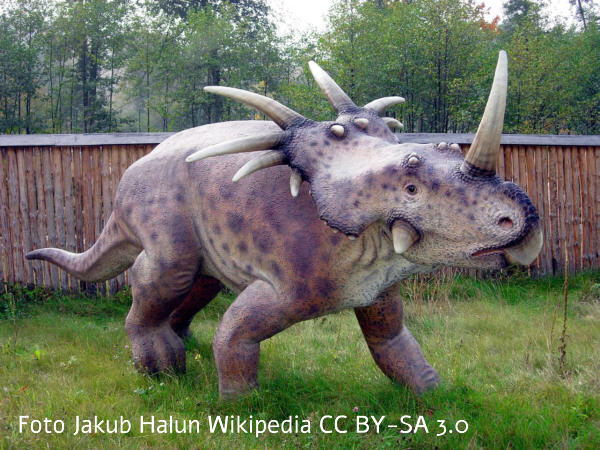 Dinosaurier Styracosaurus Daten Fakten Aussehen Bilder Informationen