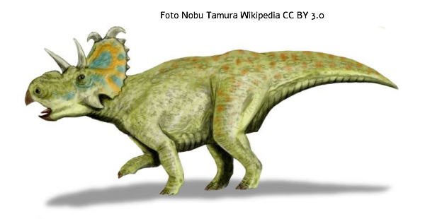 Albertaceratops