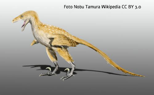 Bambiraptor