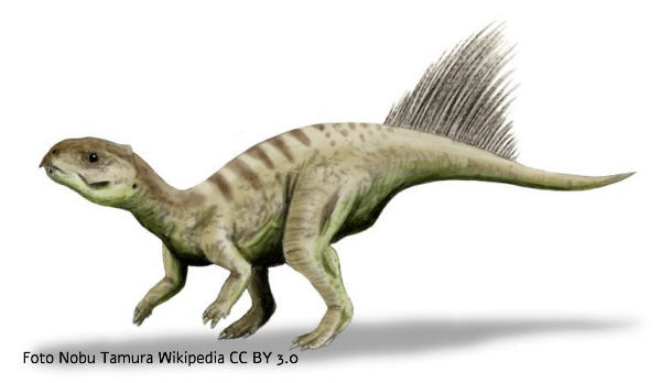 Chaoyangsaurus