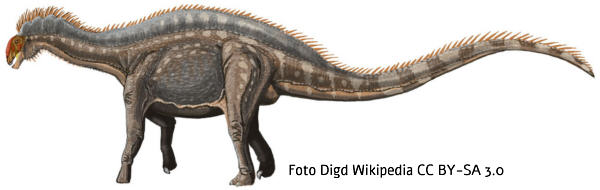 Dicraeosaurus