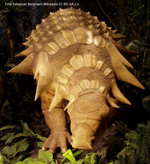 Ankylosaurus