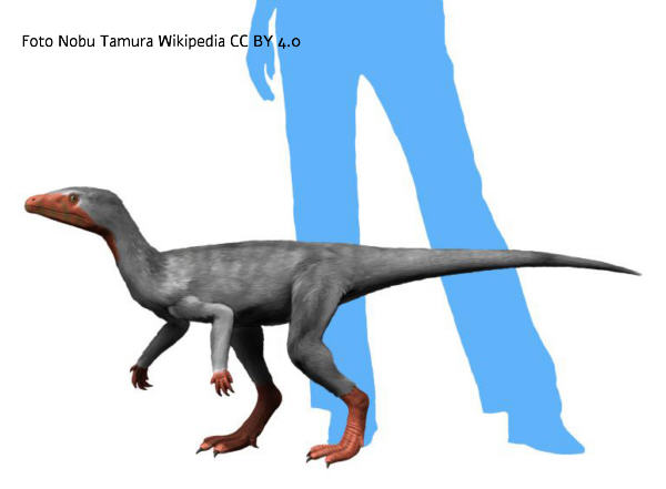 Eoraptor