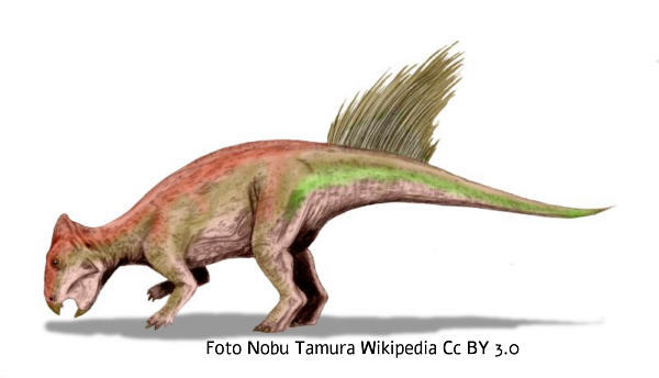 Liaoceratops