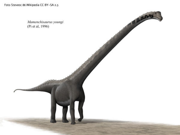 Mamenchisaurus