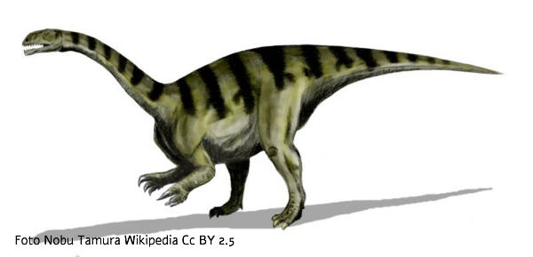 Plateosaurus