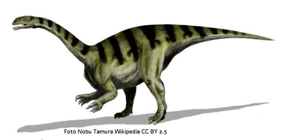 Sellosaurus