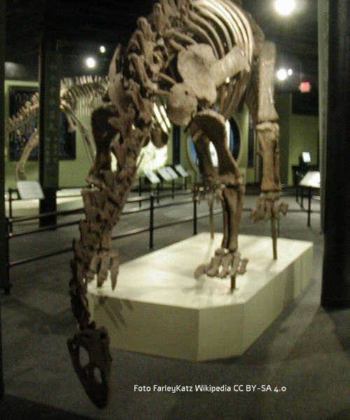 Shunosaurus