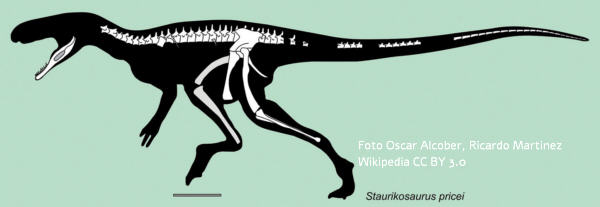 Staurikosaurus