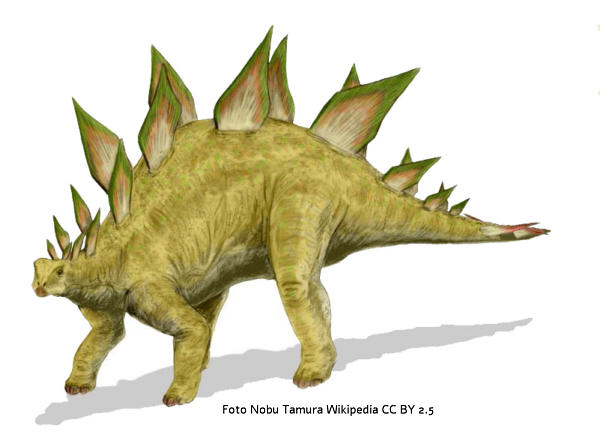 Stegosaurus