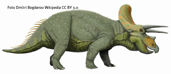 Triceratops